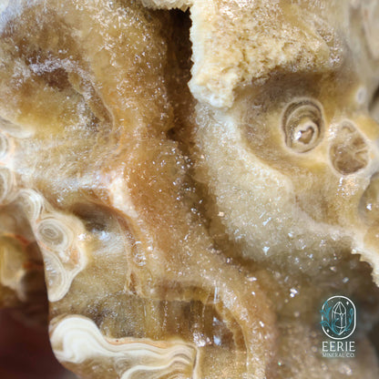 UV Reactive Druzy Amber Calcite Skull