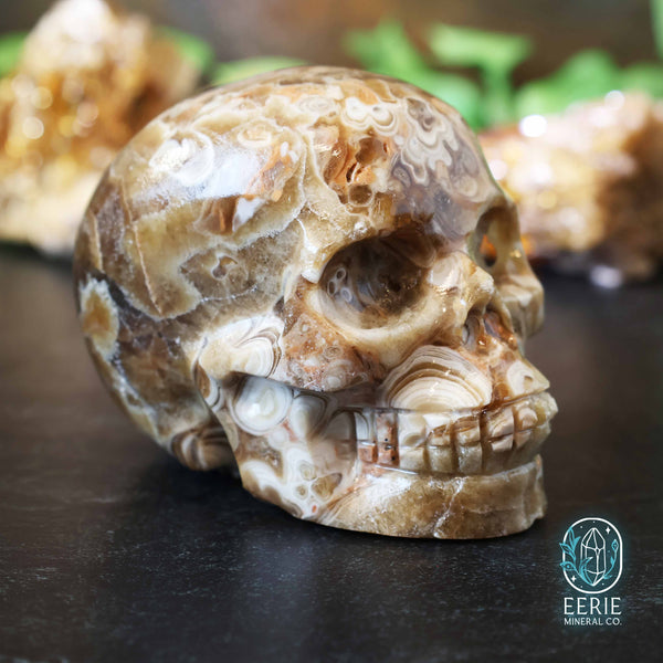 UV Reactive Druzy Amber Calcite Skull