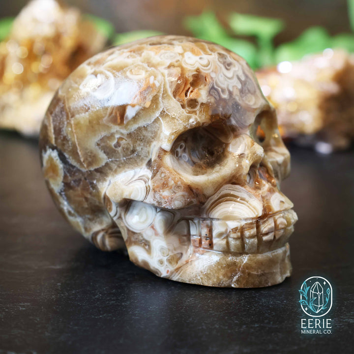 UV Reactive Druzy Amber Calcite Skull