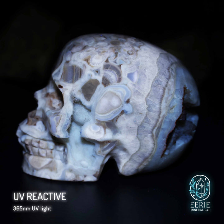 UV Reactive Druzy Amber Calcite Skull