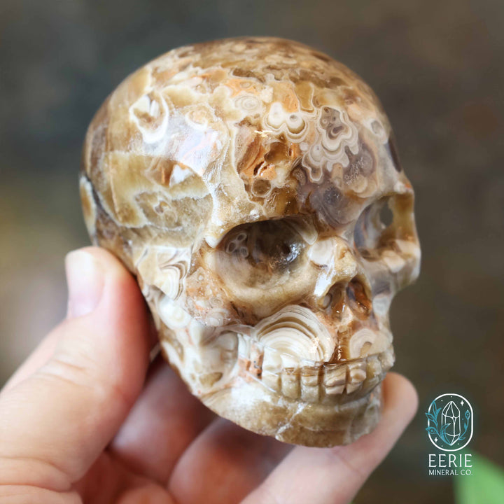 UV Reactive Druzy Amber Calcite Skull