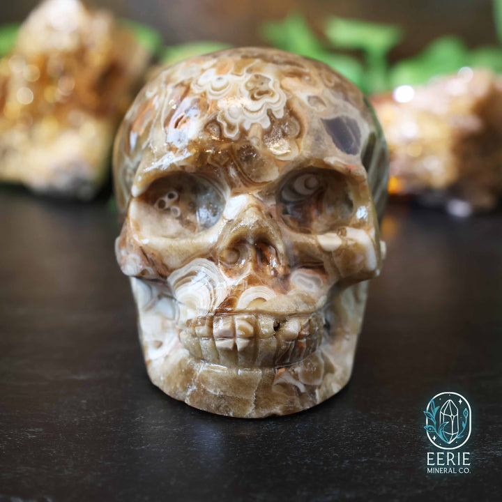 UV Reactive Druzy Amber Calcite Skull