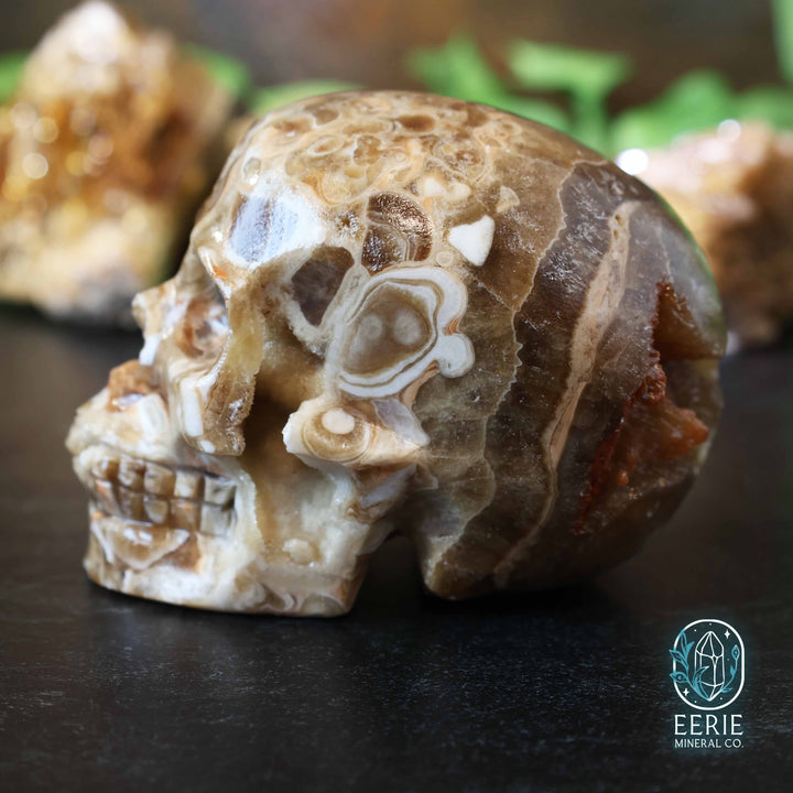 UV Reactive Druzy Amber Calcite Skull