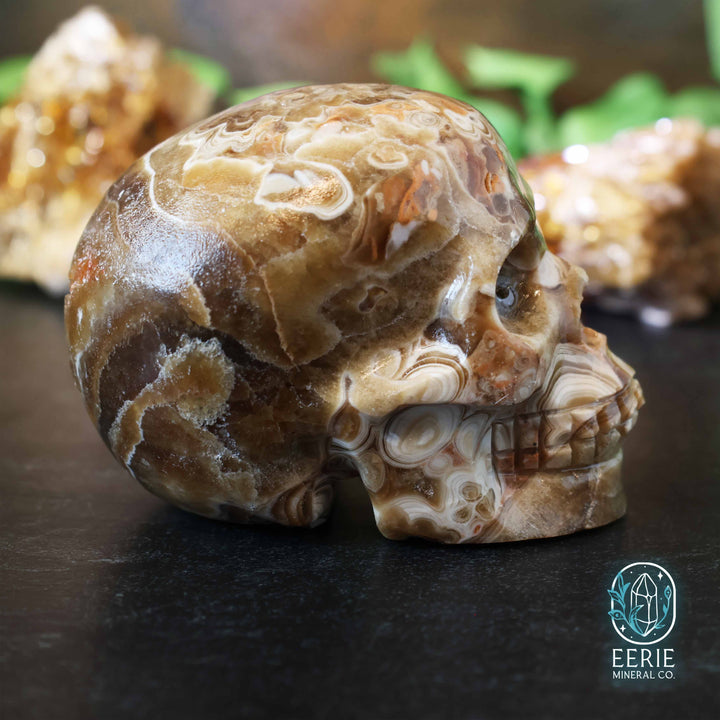UV Reactive Druzy Amber Calcite Skull