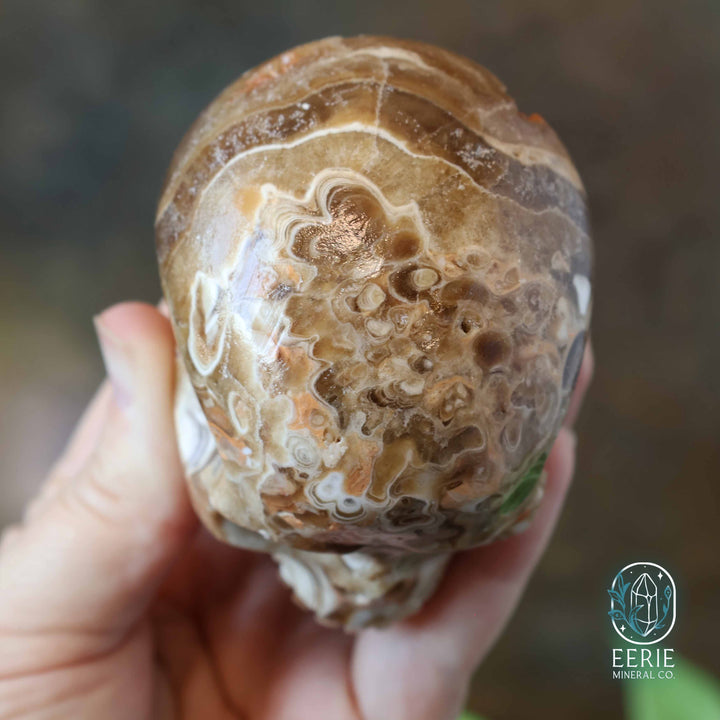 UV Reactive Druzy Amber Calcite Skull