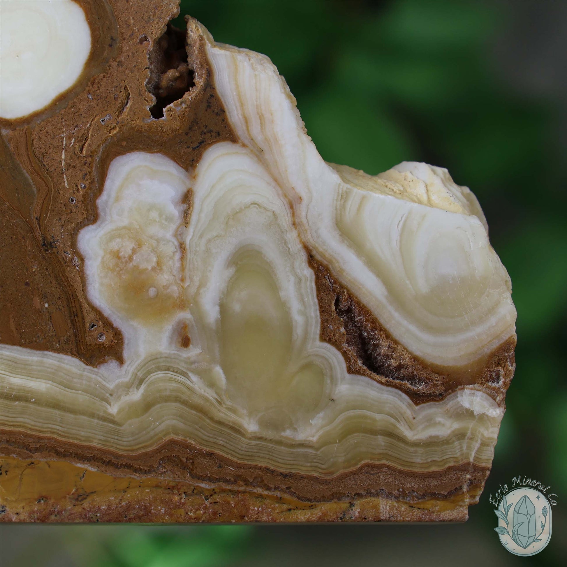 Amber Calcite Slab ~ UV Reactive