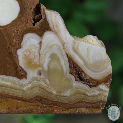 Amber Calcite Slab ~ UV Reactive