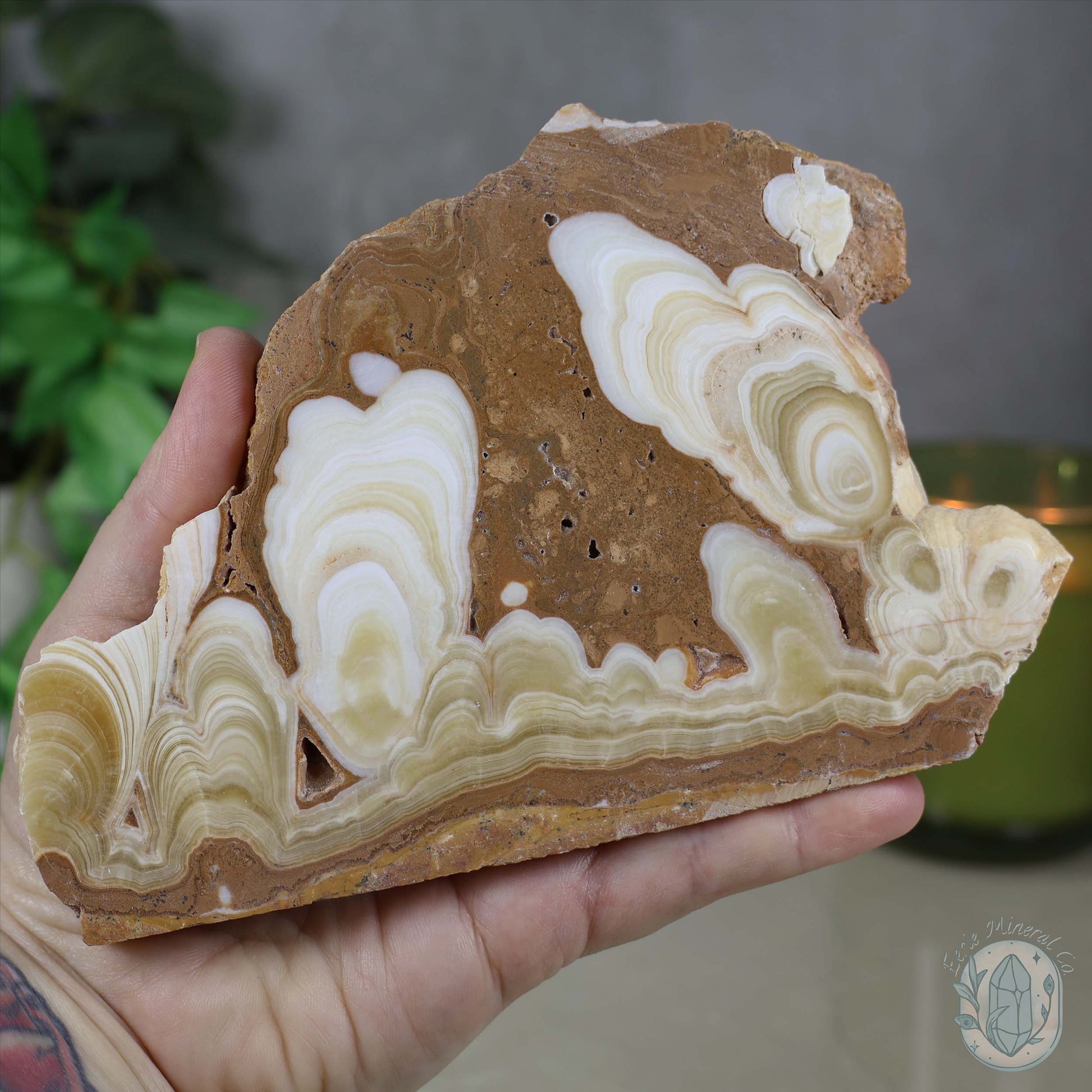 Amber Calcite Slab ~ UV Reactive