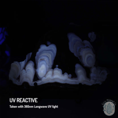 Amber Calcite Slab ~ UV Reactive