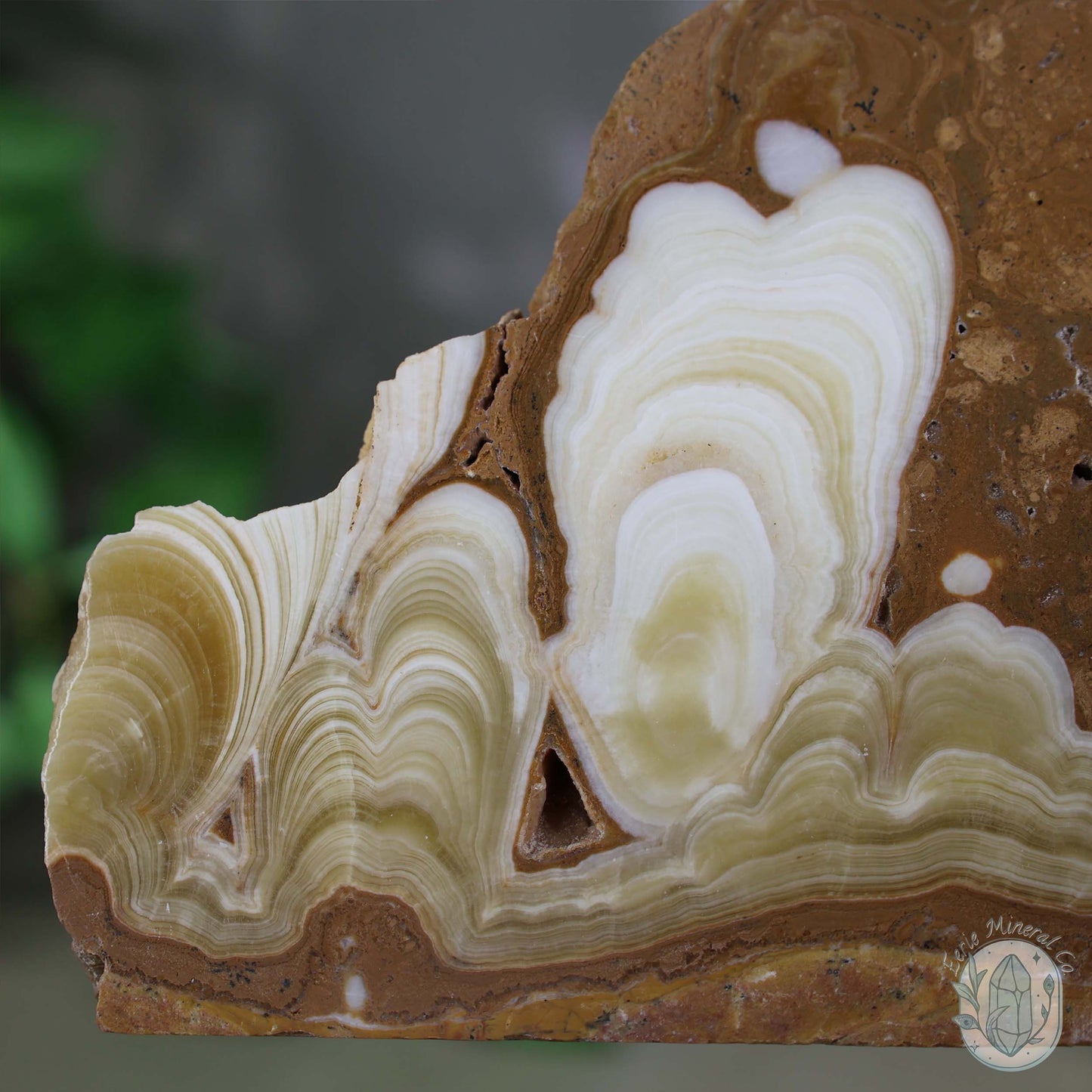 Amber Calcite Slab ~ UV Reactive