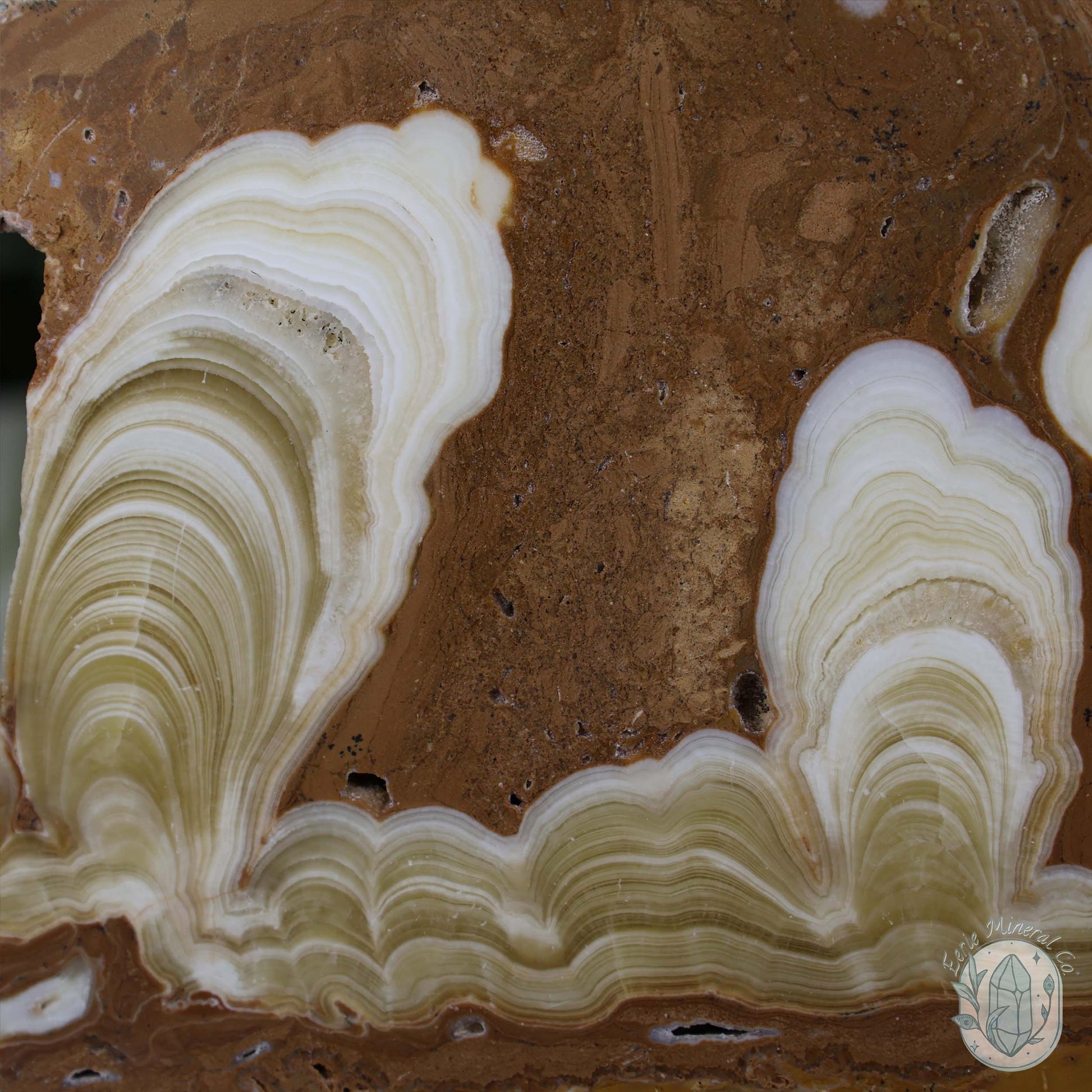 Amber Calcite Slab ~ UV Reactive