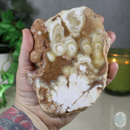 Polished Amber Calcite Slab ~ UV Reactive