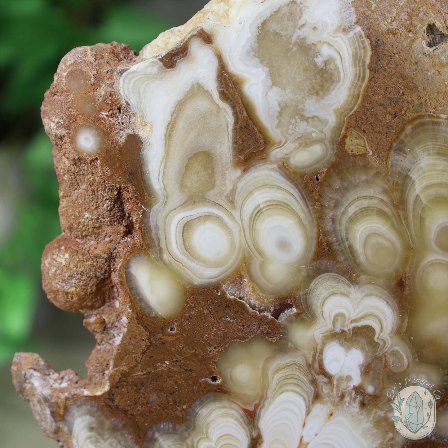 Polished Amber Calcite Slab ~ UV Reactive