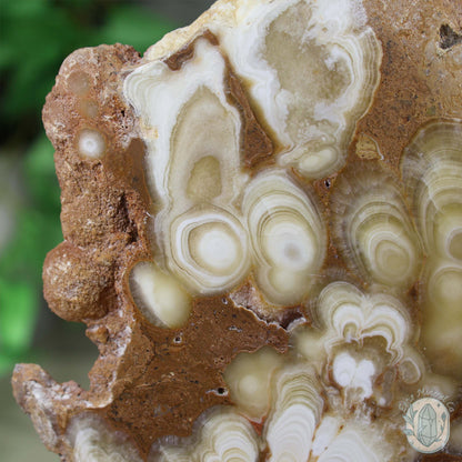 Polished Amber Calcite Slab ~ UV Reactive