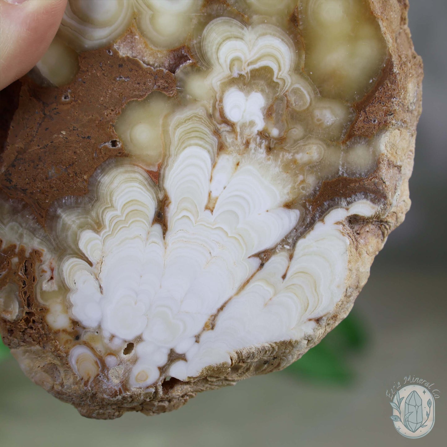 Polished Amber Calcite Slab ~ UV Reactive