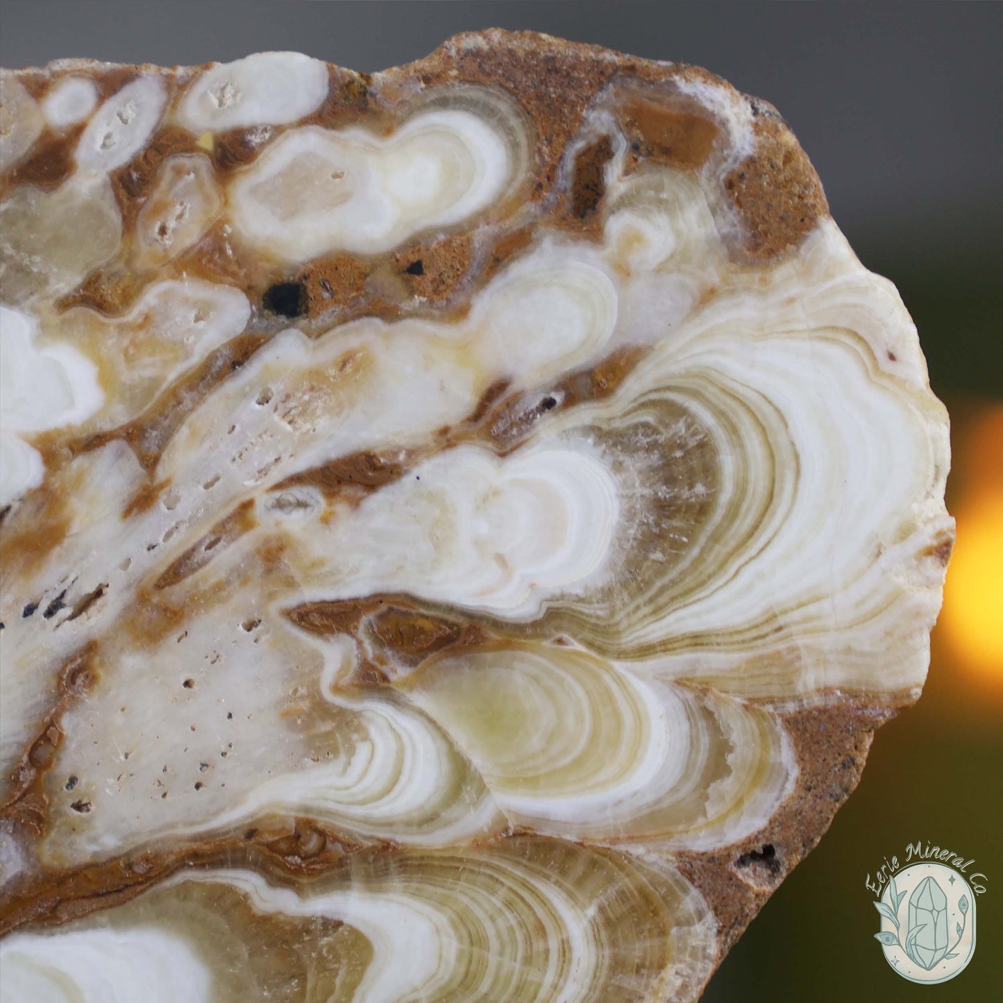 Polished Amber Calcite Slab ~ UV Reactive