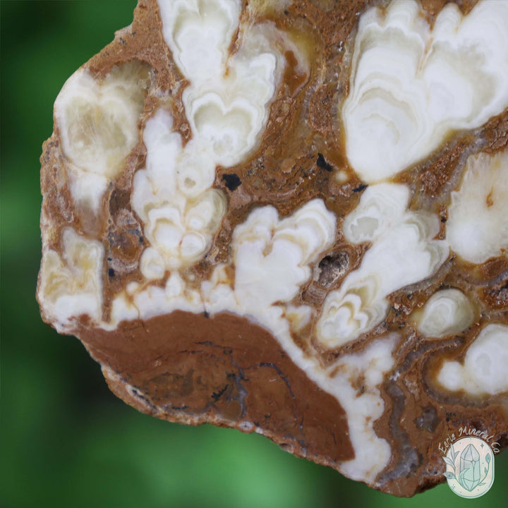 Polished Amber Calcite Slab ~ UV Reactive