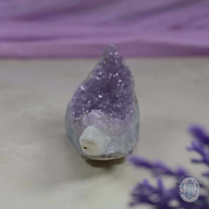 Amethyst Fish Carving "Crystal Cutie"