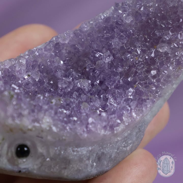 Amethyst Fish Carving "Crystal Cutie"