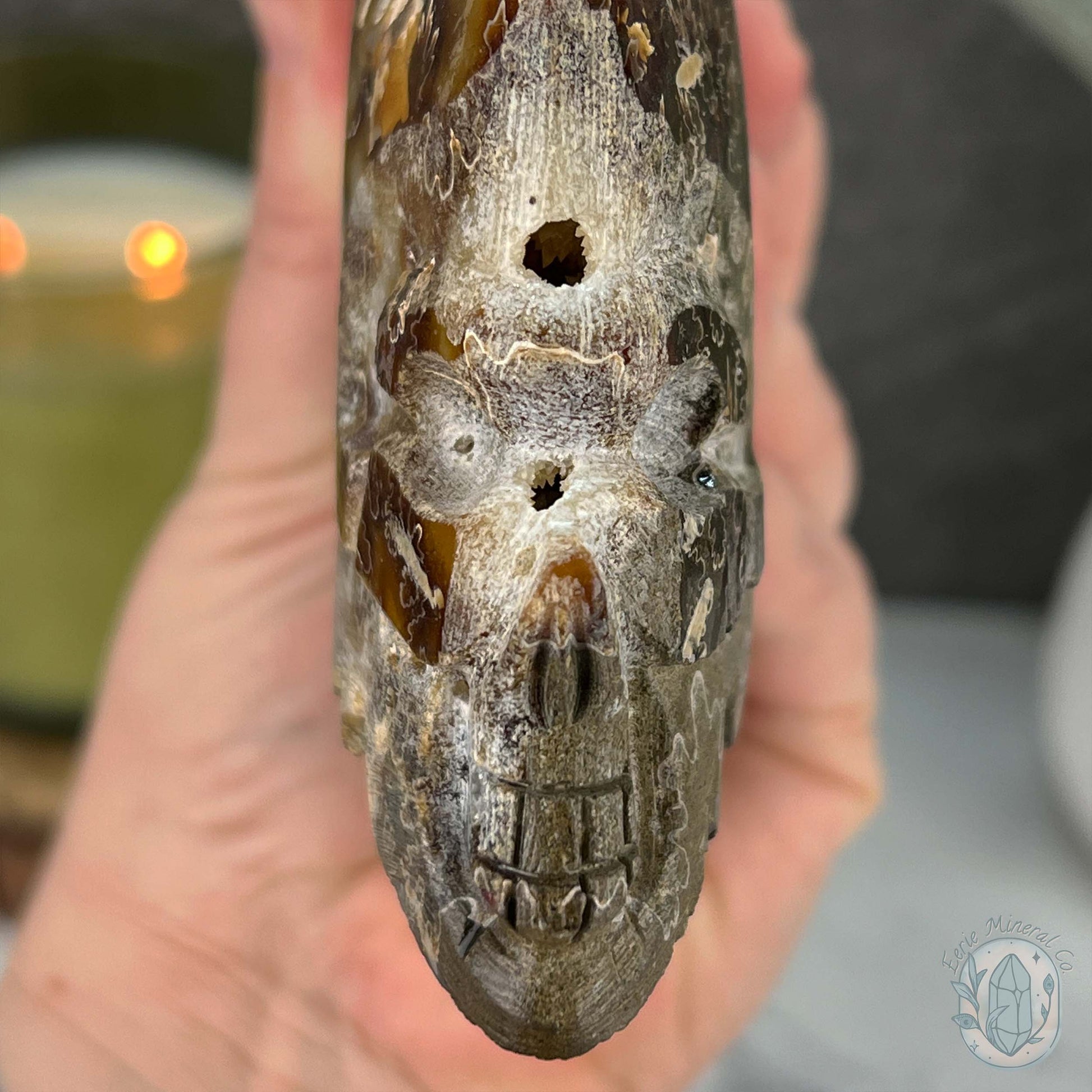 Rare Ammonite (cleoniceras) Skull Carving Fossil with Base