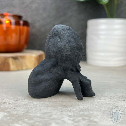 Black Obsidian Zombie Head On Hand Carvings