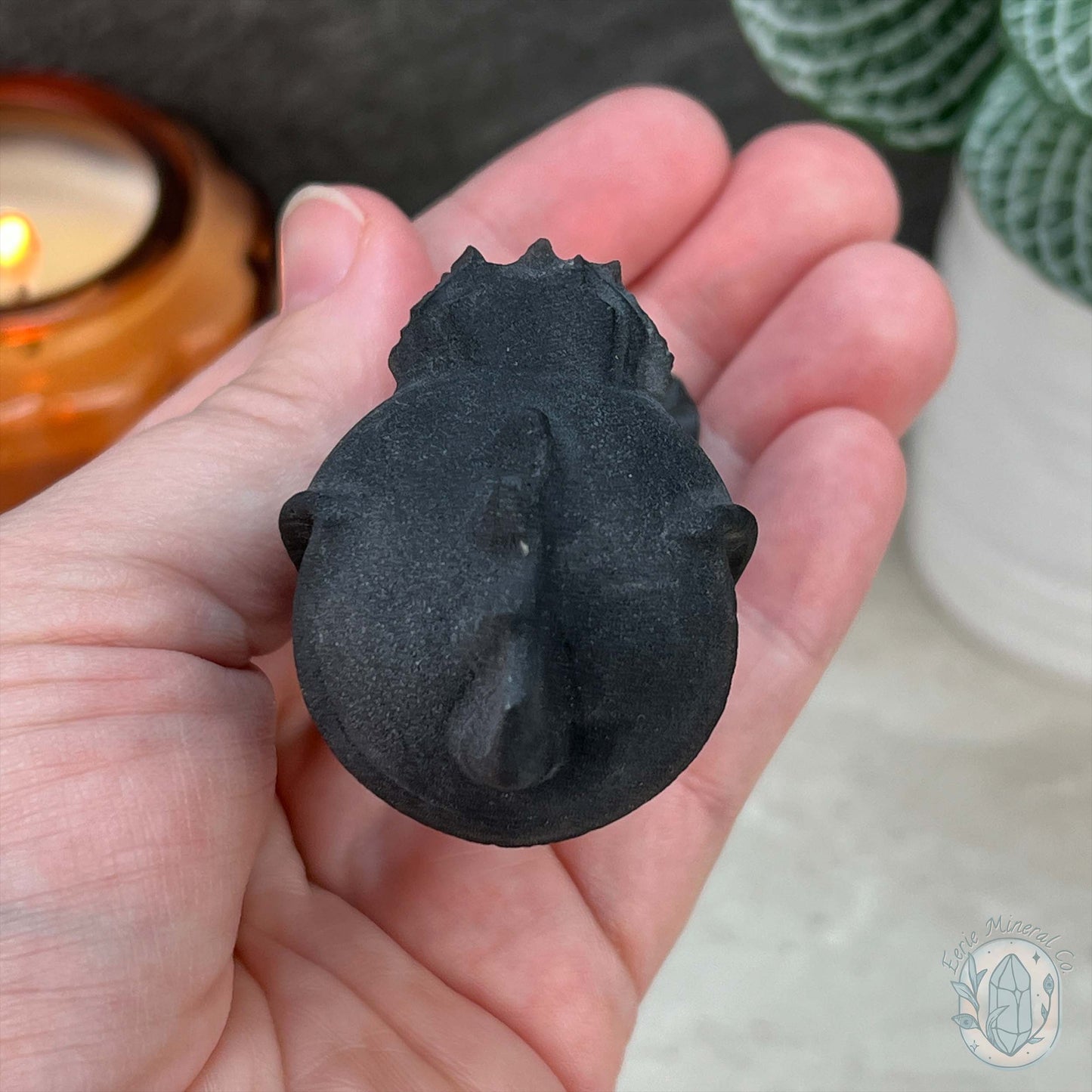 Black Obsidian Plant Monster Matte Finish Carvings