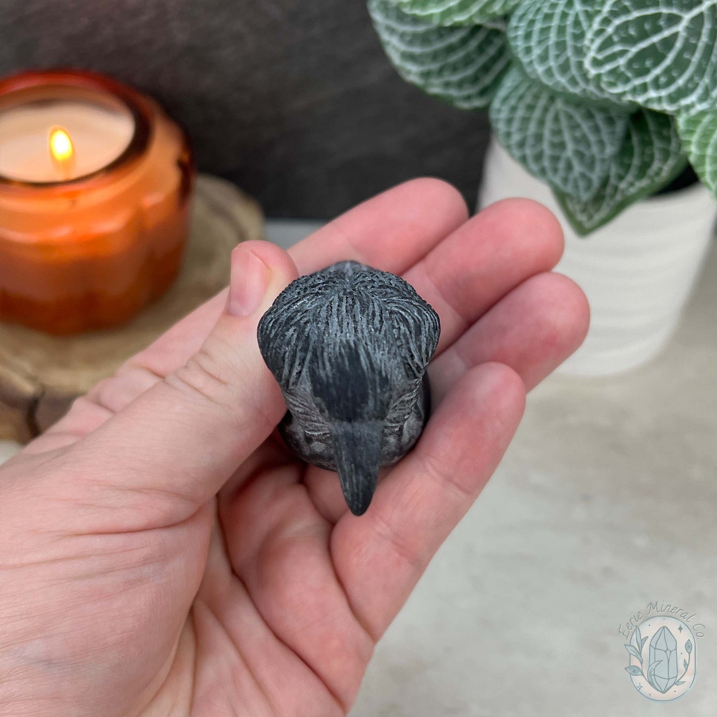 Black Obsidian Perched Raven Matte Finish Carvings