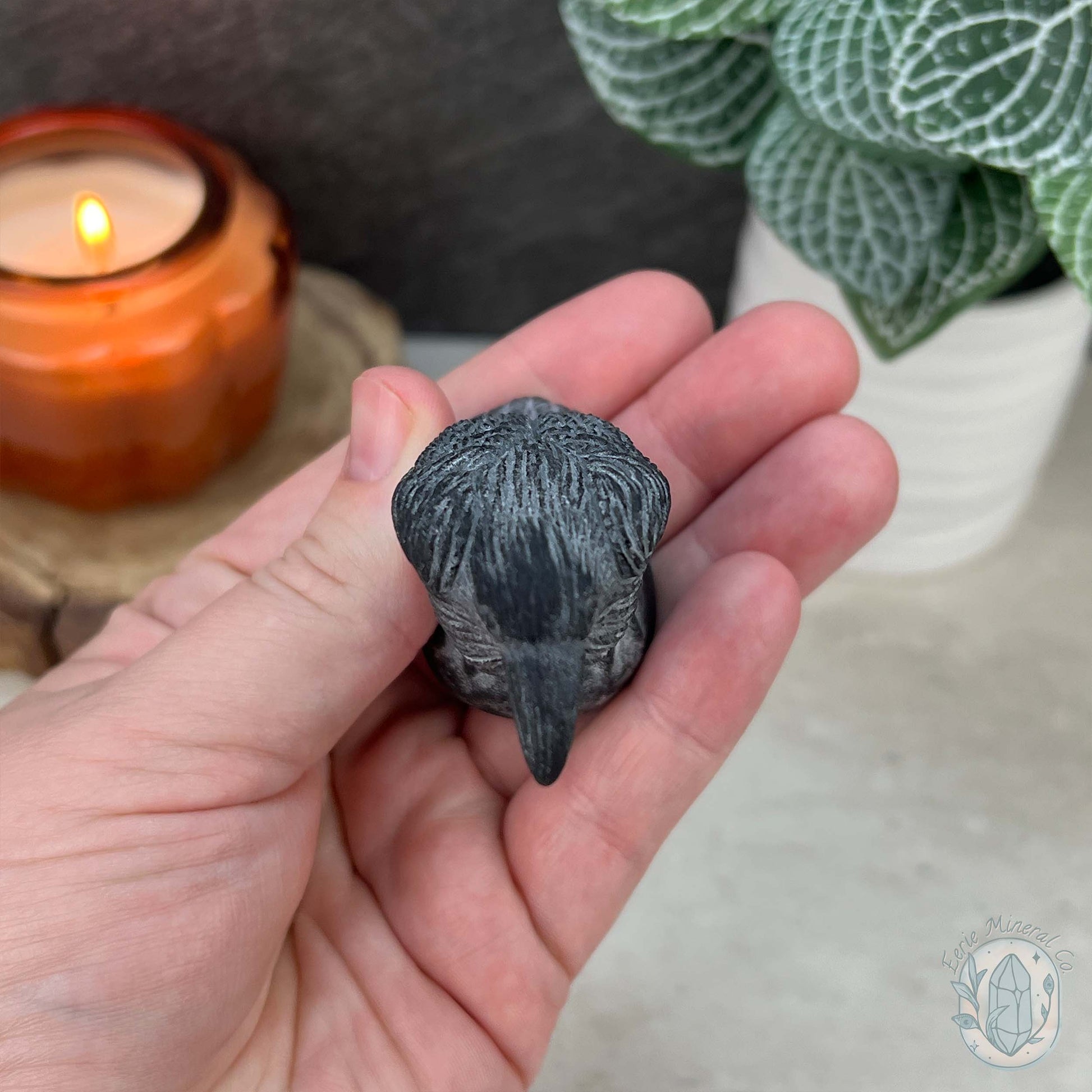 Black Obsidian Perched Raven Matte Finish Carvings