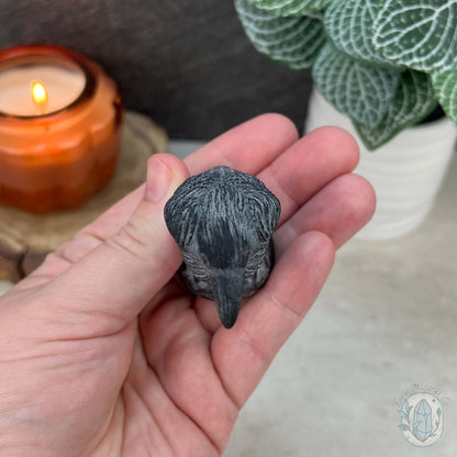 Black Obsidian Perched Raven Matte Finish Carvings
