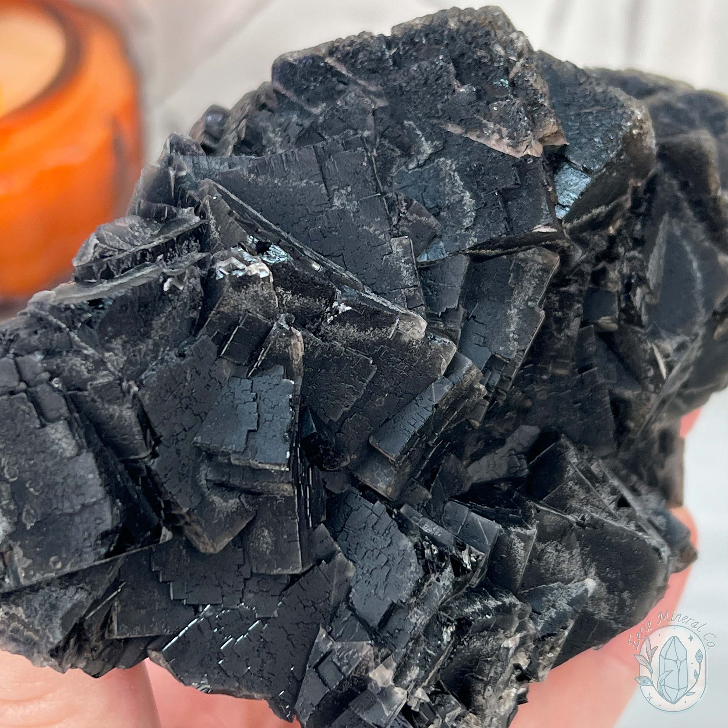 UV Reactive Black Rose Fluorite Specimen | New Fluorite Specimens