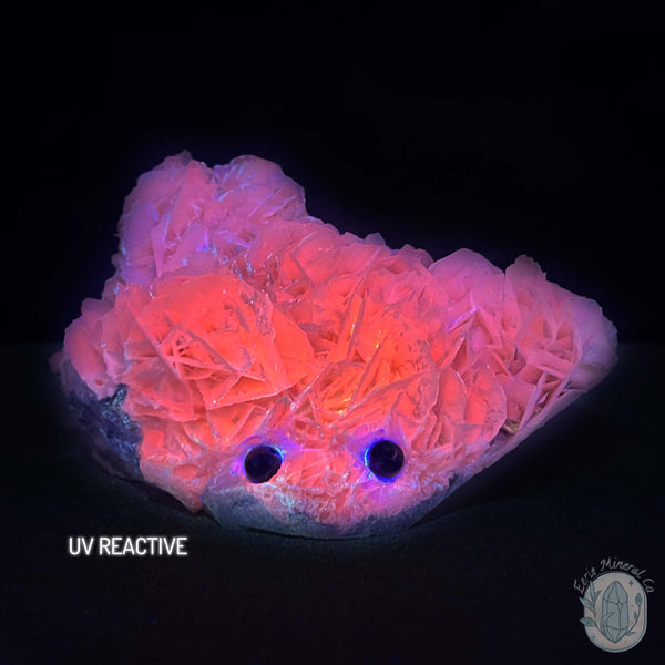 UV Reactive Bladed or Paper Calcite Pet Rock Carving