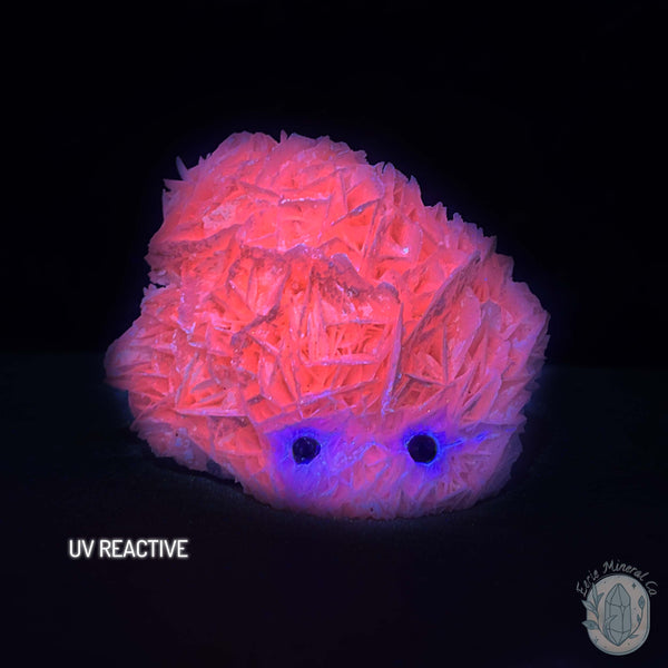 UV Reactive Bladed or Paper Calcite Pet Rock Carving