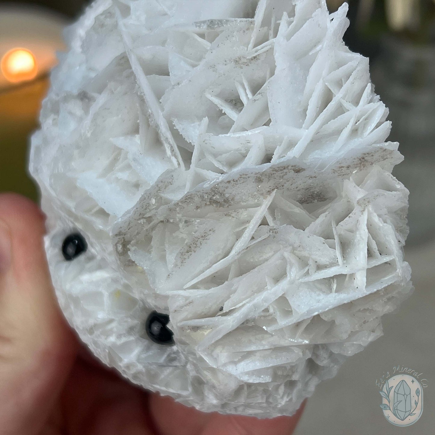 UV Reactive Bladed or Paper Calcite Pet Rock Carving