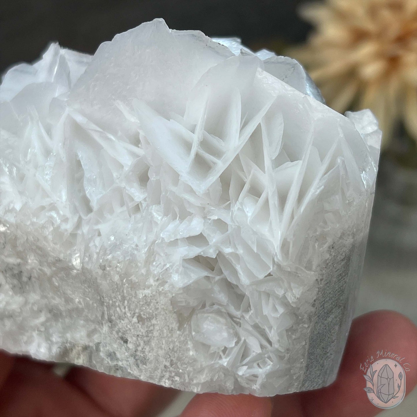 UV Reactive Bladed or Paper Calcite Pet Rock Carving