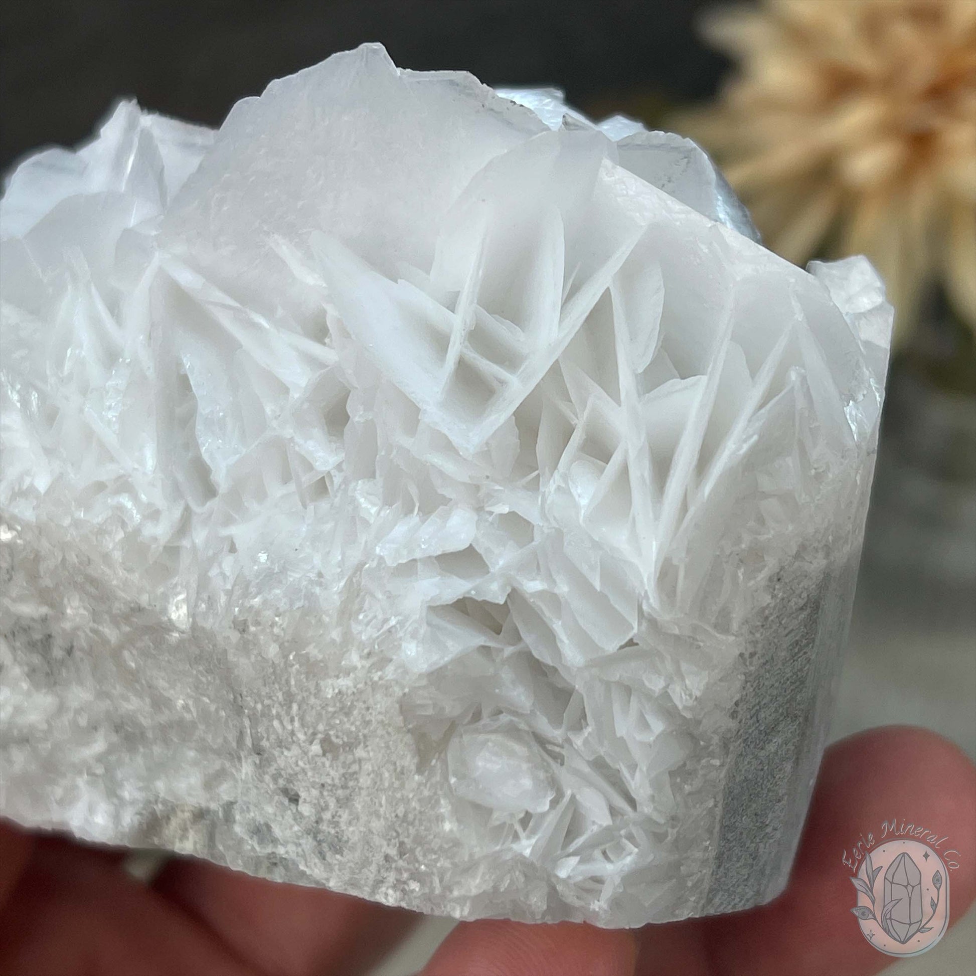 UV Reactive Bladed or Paper Calcite Pet Rock Carving