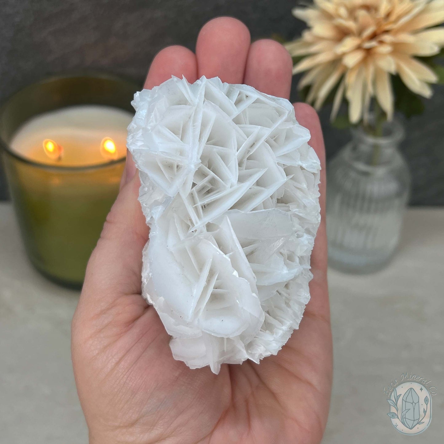 UV Reactive Bladed or Paper Calcite Pet Rock Carving