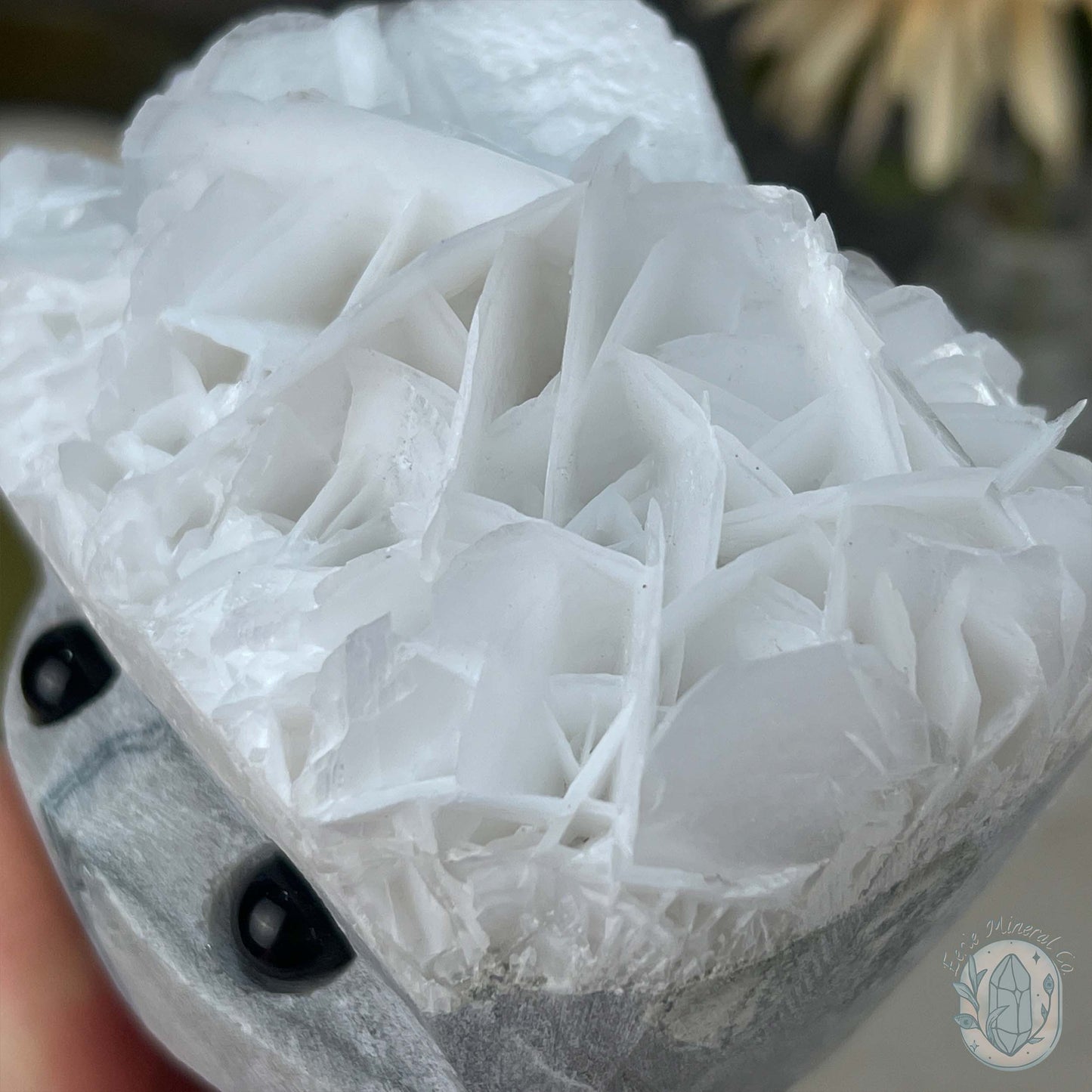 UV Reactive Bladed or Paper Calcite Pet Rock Carving