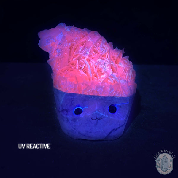 UV Reactive Bladed or Paper Calcite Pet Rock Carving