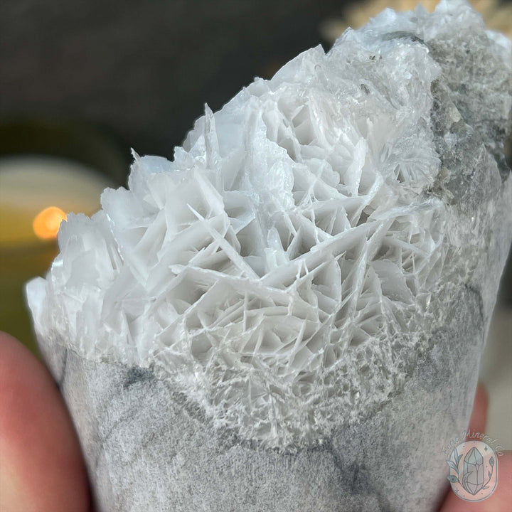 UV Reactive Bladed or Paper Calcite Pet Rock Carving