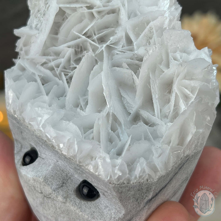 UV Reactive Bladed or Paper Calcite Pet Rock Carving