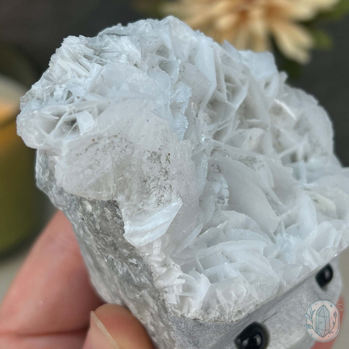 UV Reactive Bladed or Paper Calcite Pet Rock Carving