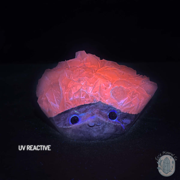 UV Reactive Bladed or Paper Calcite Pet Rock Carving