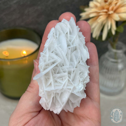 UV Reactive Bladed or Paper Calcite Pet Rock Carving