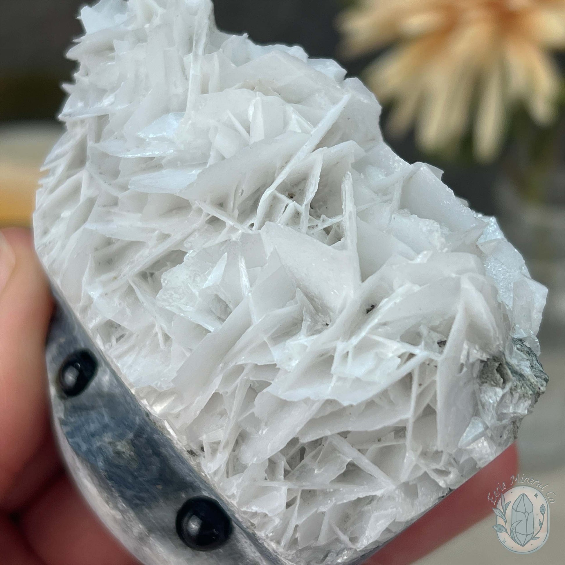 UV Reactive Bladed or Paper Calcite Pet Rock Carving