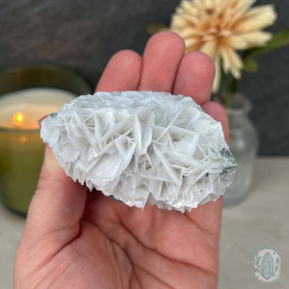 UV Reactive Bladed or Paper Calcite Pet Rock Carving