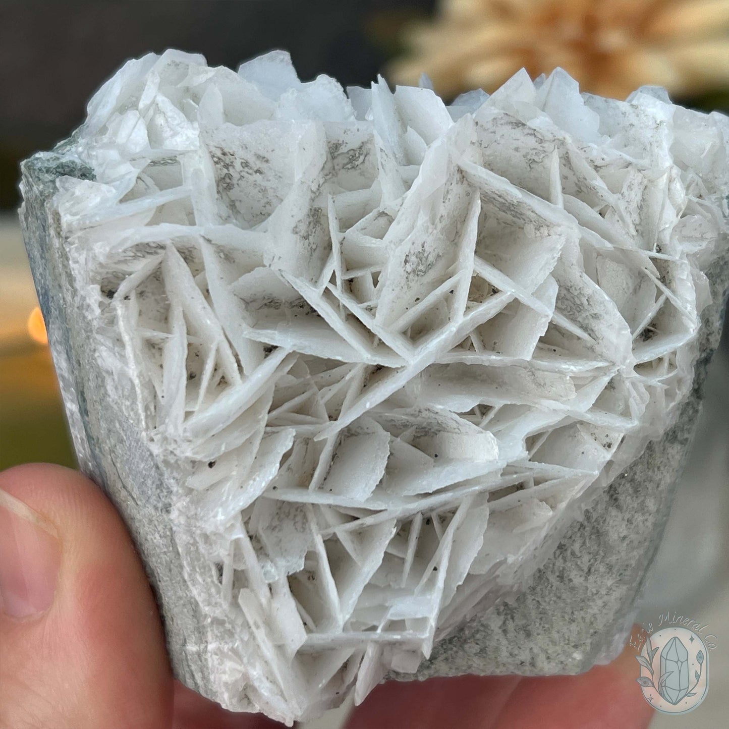 UV Reactive Bladed or Paper Calcite Pet Rock Carving