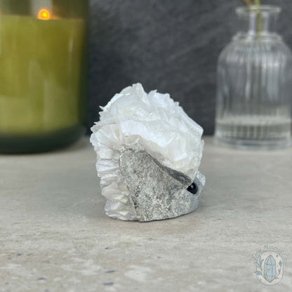 UV Reactive Bladed or Paper Calcite Pet Rock Carving