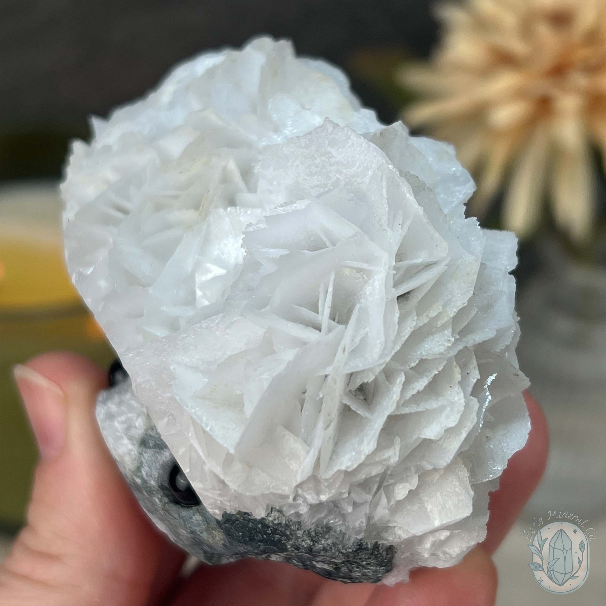 UV Reactive Bladed or Paper Calcite Pet Rock Carving