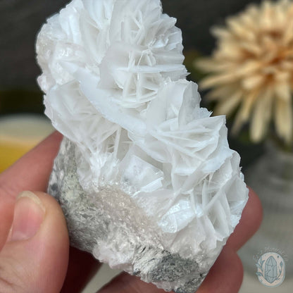UV Reactive Bladed or Paper Calcite Pet Rock Carving