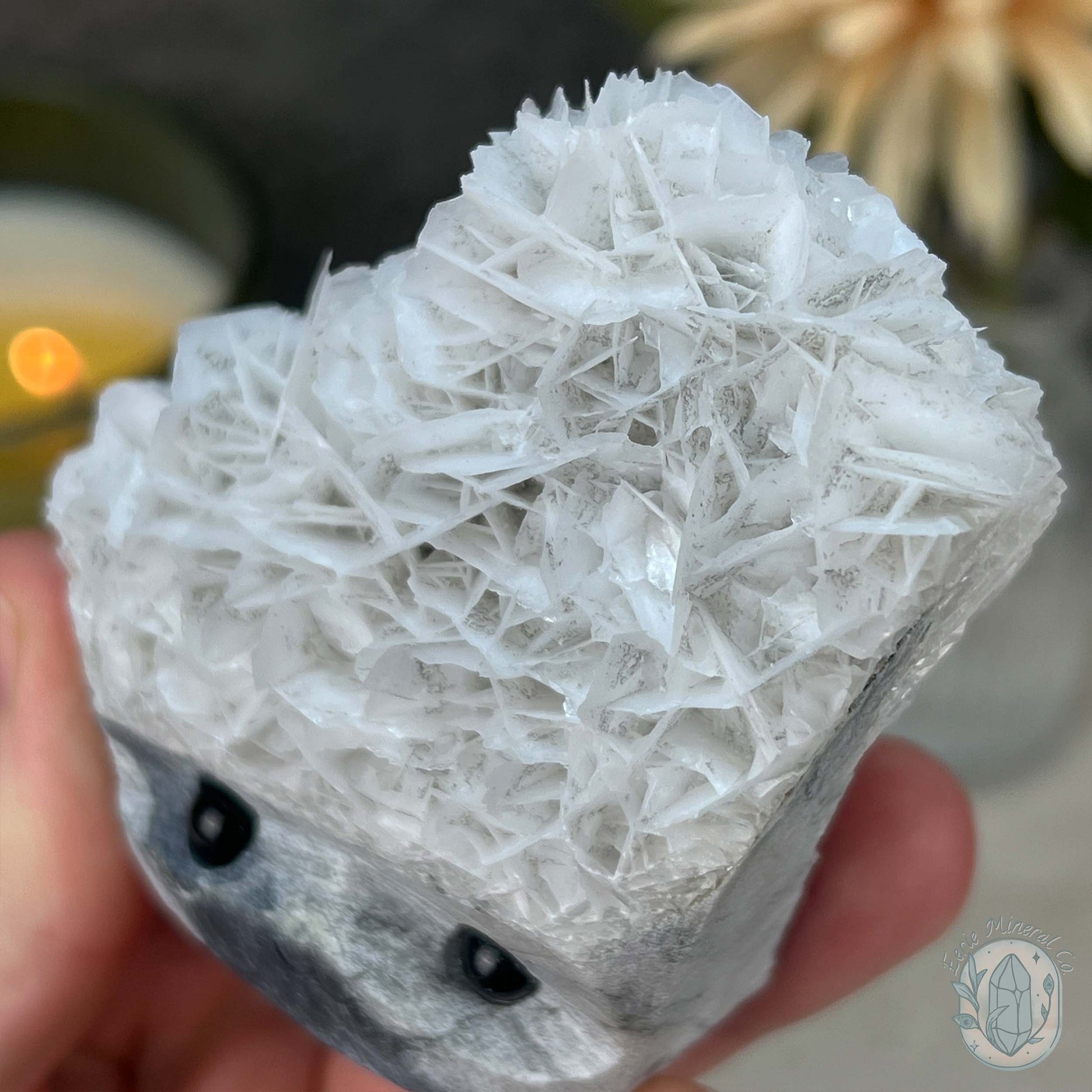 UV Reactive Bladed or Paper Calcite Pet Rock Carving